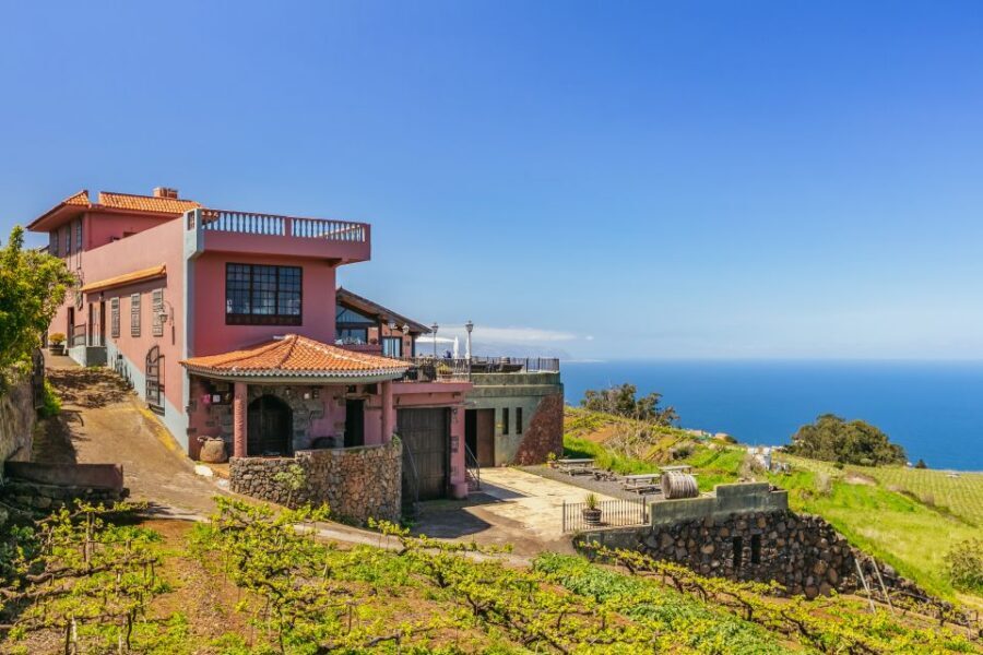 Tacoronte: Guided Winery Tour with Wine and Cheese Tastings - Bodegas Monje: A Family Winery Built on Volcanic Soil
