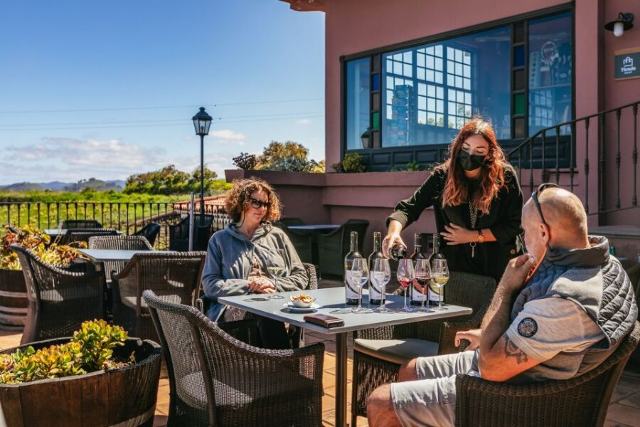 Tacoronte: Guided Winery Tour with Wine and Cheese Tastings - What the Winery Tour Adds Beyond the Tasting