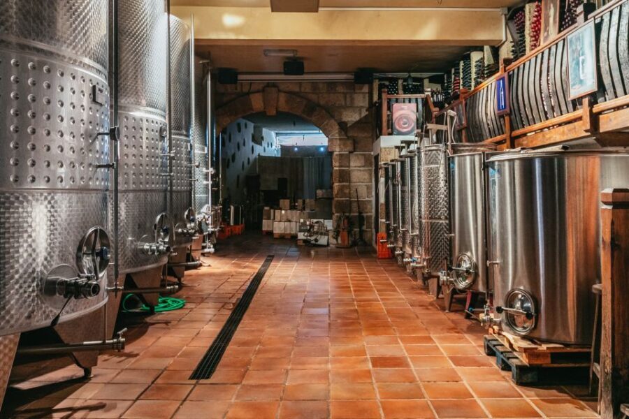 Tacoronte: Guided Winery Tour with Wine and Cheese Tastings - Price and Value: Is $41 Worth It?