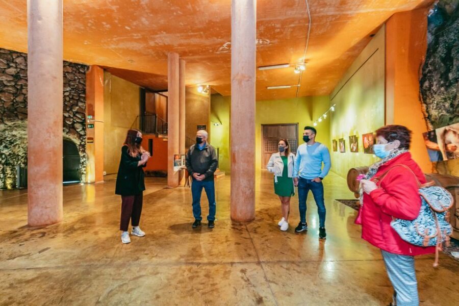 Tacoronte: Guided Winery Tour with Wine and Cheese Tastings - Who Should Book This, and Who Might Want More
