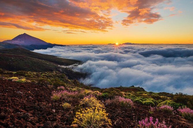 Teide 1/2 Day - Price and Value: Is $59.41 Worth It?