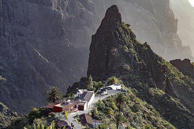 Teide-Icod-Garachico-Masca (Most popular bus tour in Tenerife) - Pickup in Puerto de la Cruz: where you board and why timing varies
