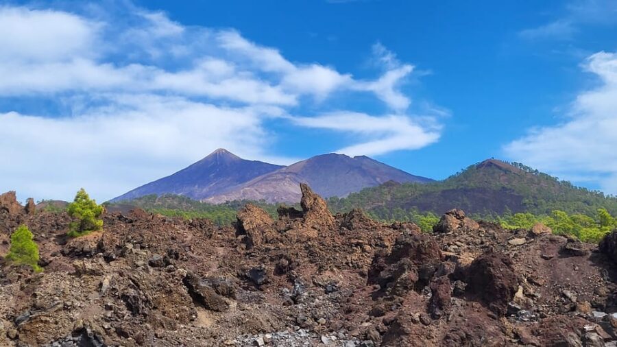Teide National Park and Vilaflor ; local wine tasting - Who This Tour Suits Best (and Who Should Skip It)