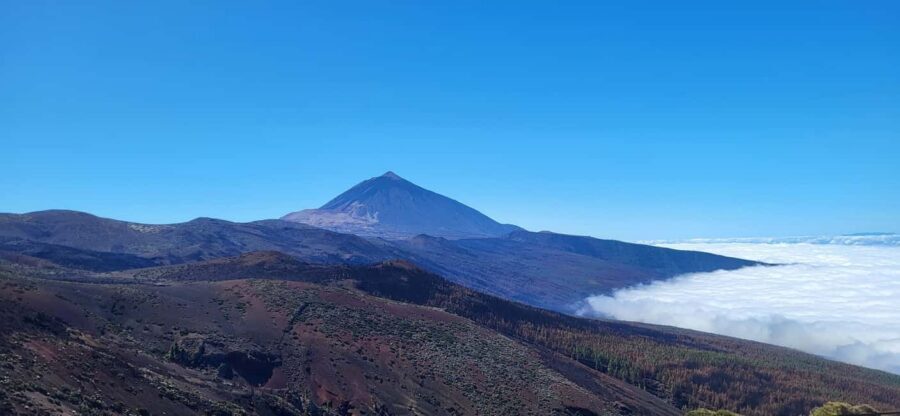 Teide National Park and Vilaflor ; local wine tasting - Teide National Park: Sámara Crater Walk and Roques de García Photos
