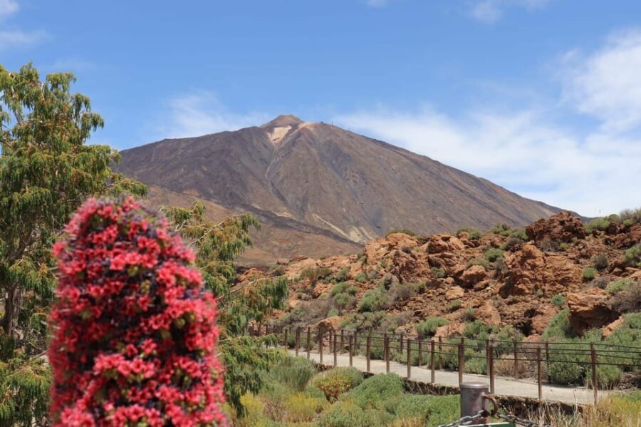 Teide National Park and Vilaflor ; local wine tasting - Vilaflor’s Santo Hermano Pedro Church and El Pino Gordo
