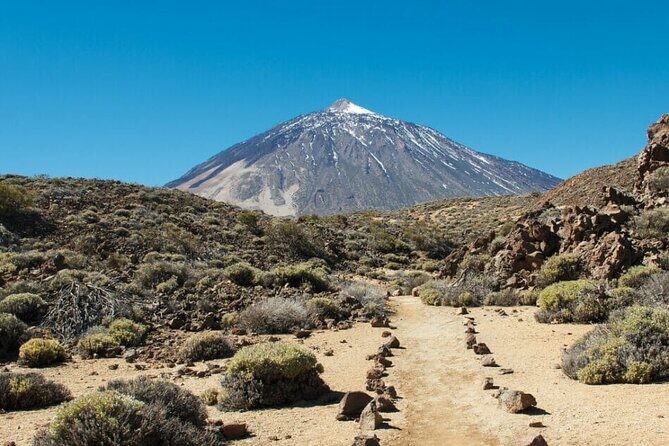 Teide National Park Full Experience with Professional Guide - Stop 5: Mirador de las Narices del Teide, eruption mouths and burnt terrain