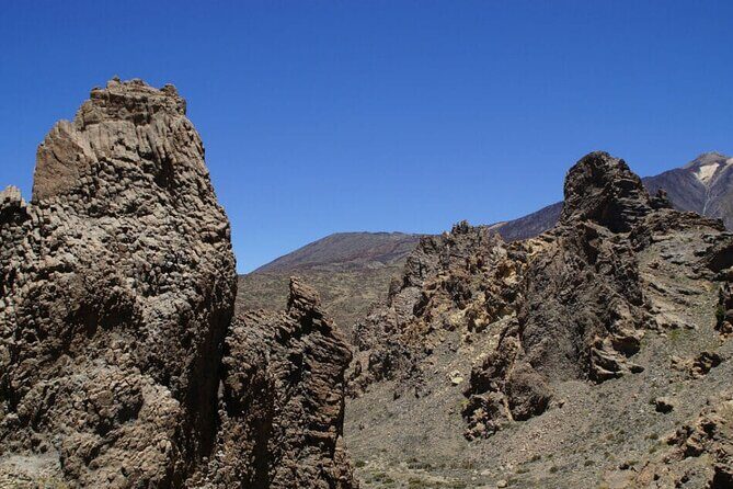 Teide National Park Full Experience with Professional Guide - Stop 1: El Pino Gordo, a giant older than you’d guess