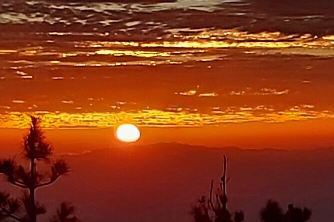 TEIDE NIGHT, Stargazing Bus Tour, Meal & Drinks included! - Price and value: what $117.11 really buys you