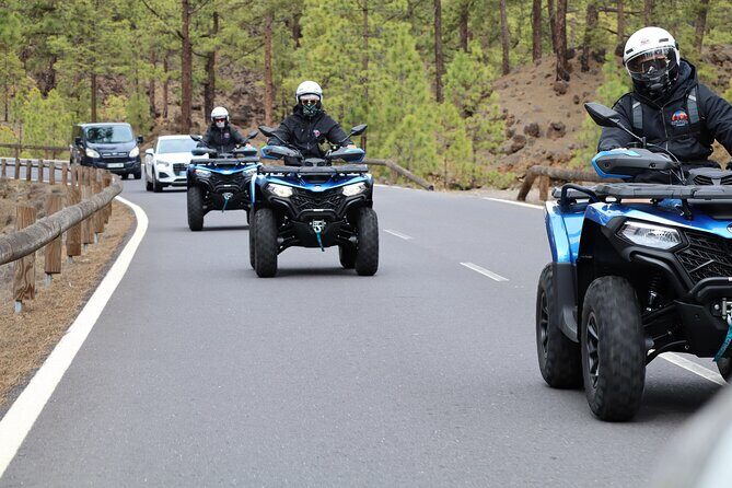 Teide Quad Volcanic Tour Teide National Park - Price and value: is $195.50 per group worth it?