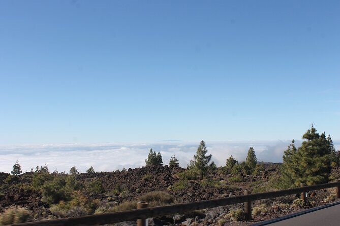 Teide Volcano National Park Quad Biking Tour - The Teide scenery you’ll drive through: forests, mountains, and summit country