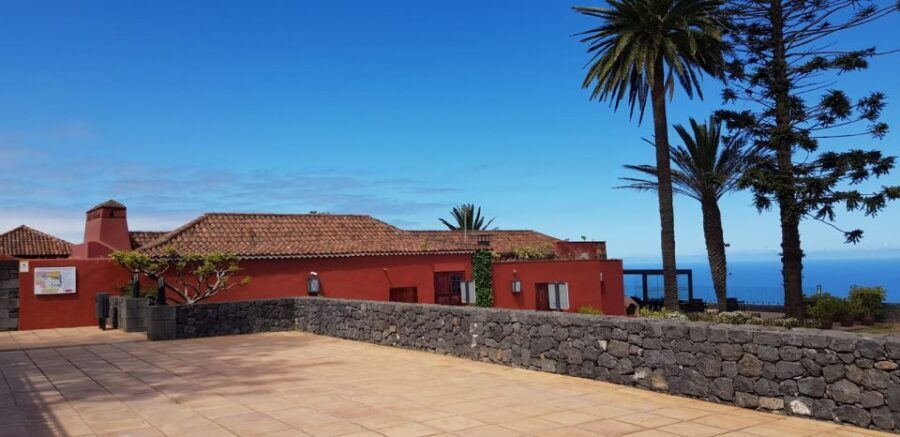 Tenerife: 4-Hour Gauchinche Food Tour - Who should book this tour (and who should think twice)