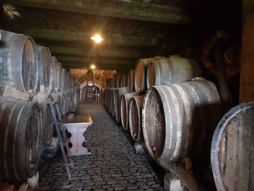 Tenerife: 4-Hour Gauchinche Food Tour - Quick tips so the day runs smoothly