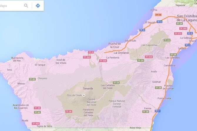 Tenerife Airport Transfer from South Airport (Reina Sofia) to North Area Hotels - Getting to the Desk: The Exact Airport Moment That Matters