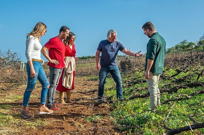 Tenerife Bodegas Monje Winery Tour with Wine and Cheese Tasting - The cheese pairings: why they make the wines easier to understand