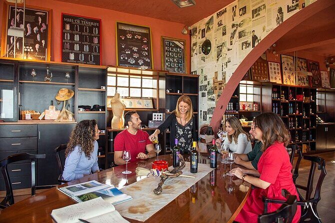Tenerife Bodegas Monje Winery Tour with Wine and Cheese Tasting - The views and the patio/terrace factor