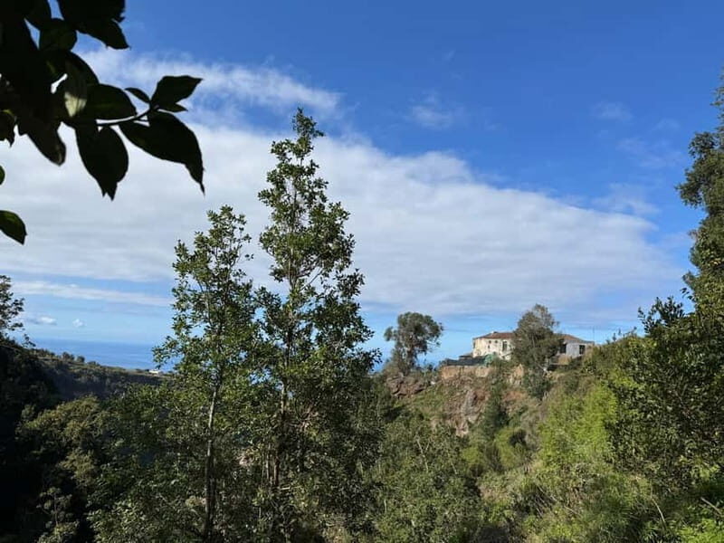 Tenerife: Canary History and Color Potatoes - Key Highlights Worth Your Time