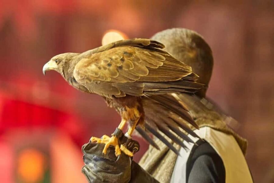 Tenerife: Castillo San Miguel Medieval Show with Dinner - Castillo San Miguel: the medieval setting in Tenerife South