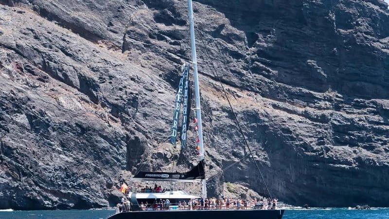 Tenerife: Catamaran Cruise with an Open Bar - Getting to the Water: South Tenerife Pickup to the Freebird