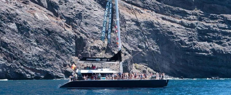 Tenerife: Catamaran Cruise with an Open Bar - Cruising the Western Coast: Sun, Sea Spray, and Better Photos
