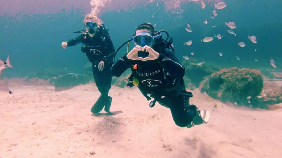 Tenerife - Discover Scuba Diving Experience with Instructor - Why Alcalá and Turtle Bay are ideal for your first underwater session