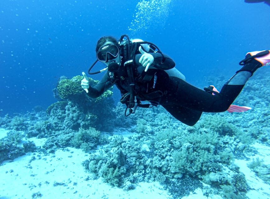 Tenerife - Discover Scuba Diving Experience with Instructor - The small group format: you get support, not a crowd