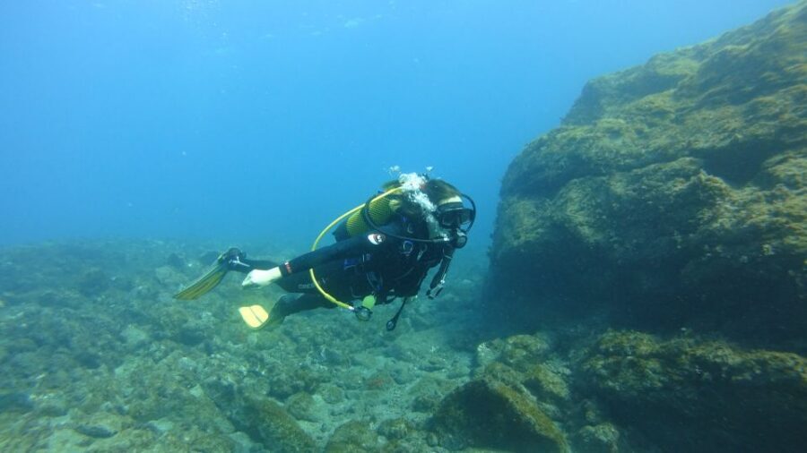 Tenerife: Discover Scuba Diving with Free Photos - Who This Experience Fits Best (And Who Should Skip It)