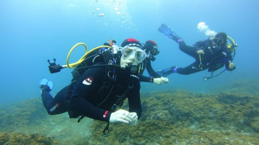 Tenerife: Discover Scuba Diving with Free Photos - Going Deeper: Volcanic Formations and Marine Life to 12 Meters