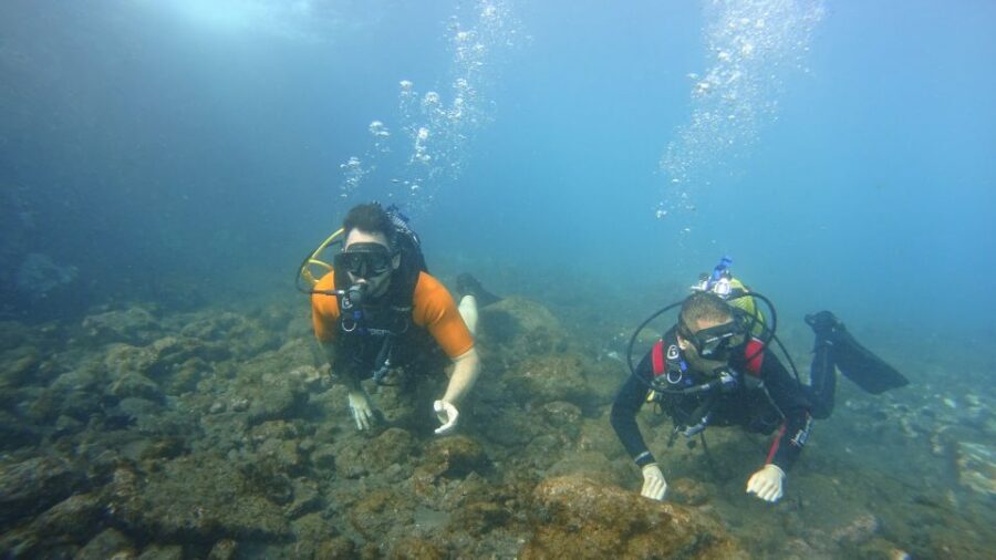 Tenerife: Discover Scuba Diving with Free Photos - Photos Included: What You Get and How to Plan for It