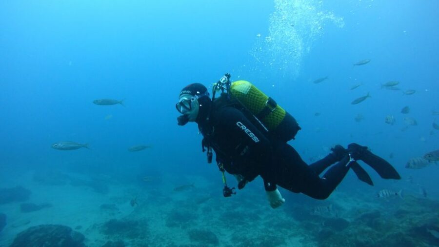 Tenerife: Discover Scuba Diving with Free Photos - The 3-Hour Schedule That Can Run 1.5 to 3 Hours