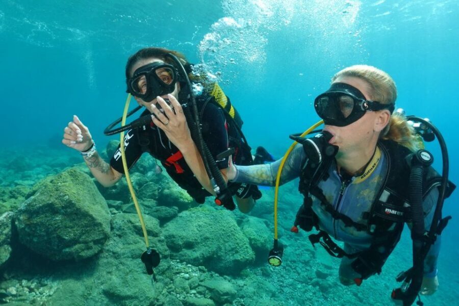 Tenerife : Diving License international in one day - Timing and logistics: short day, serious learning