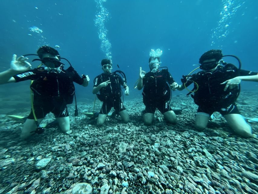 Tenerife : Diving License international in one day - Gear, photos, and the real value of the $259 price