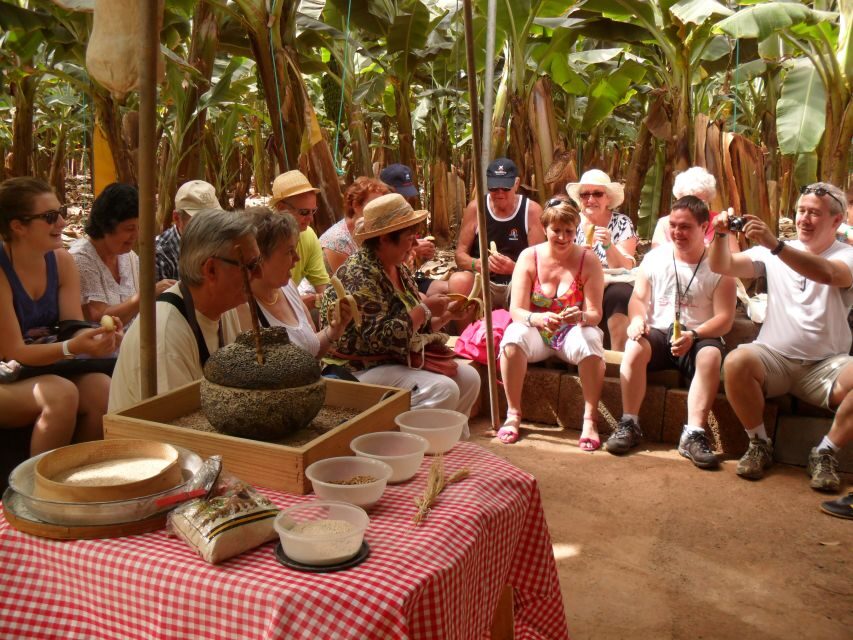 Tenerife: Finca Las Margaritas Banana Plantation Experience - Practical Tips: How to Have a Better Walk