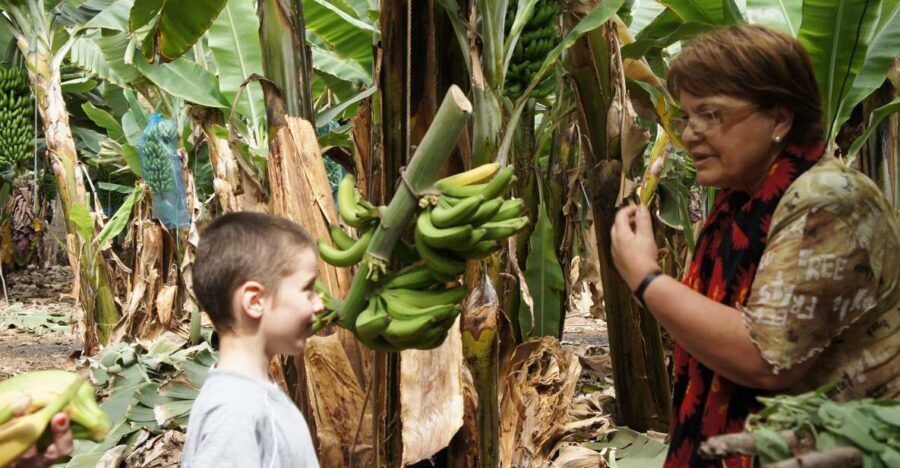 Tenerife: Finca Las Margaritas Banana Plantation Experience - Guided vs Self-Guided: Pick the Experience That Matches Your Group