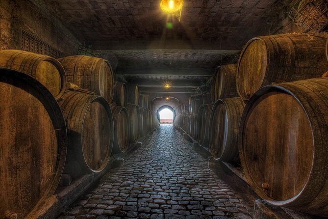 Tenerife Gastronomy Tour with Two Winery Visits and 4-Course Lunch - Who should book this Tenerife food and wine day
