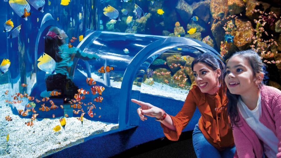 Tenerife: Gran Canaria Full-Day Guided Tour with Aquarium - Destilería Arehucas: 4,308 barrels, a real production story, and tasting