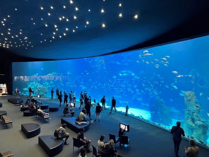 Tenerife: Gran Canaria Full-Day Guided Tour with Aquarium - Time, transport, and logistics: how to avoid stress on a 12-hour day