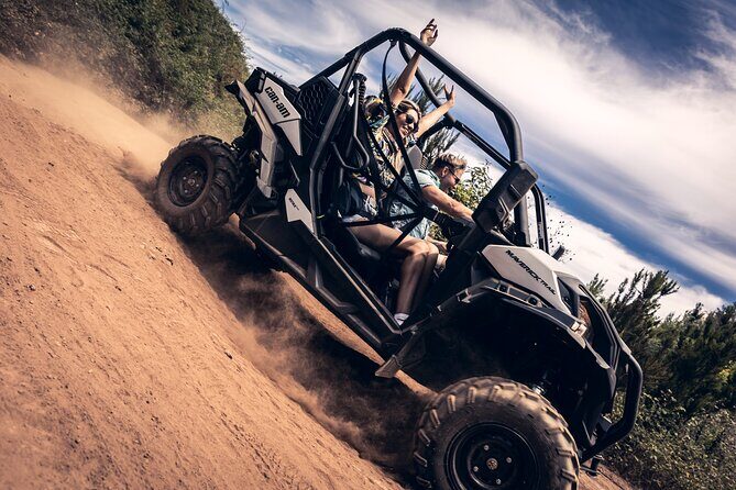 Tenerife Guided Buggy Discovery Tour Around Mount Teide - Key highlights at a glance