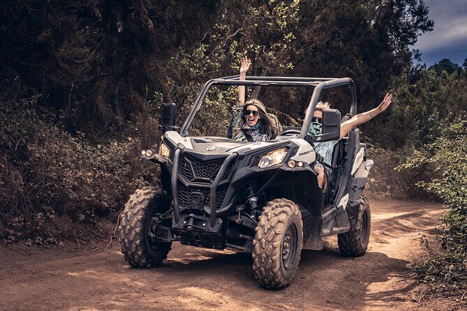 Tenerife Guided Buggy Discovery Tour Around Mount Teide - Stop 5: Tamaimo return for wine and cheese