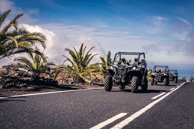 Tenerife Guided Buggy Discovery Tour Around Mount Teide - What the group size feels like (and why it matters)