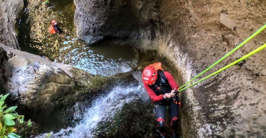 Tenerife: Guided Canyoning Experience - Tenerife Canyoning Reality Check: Heights, Jumps, and Physical Shape