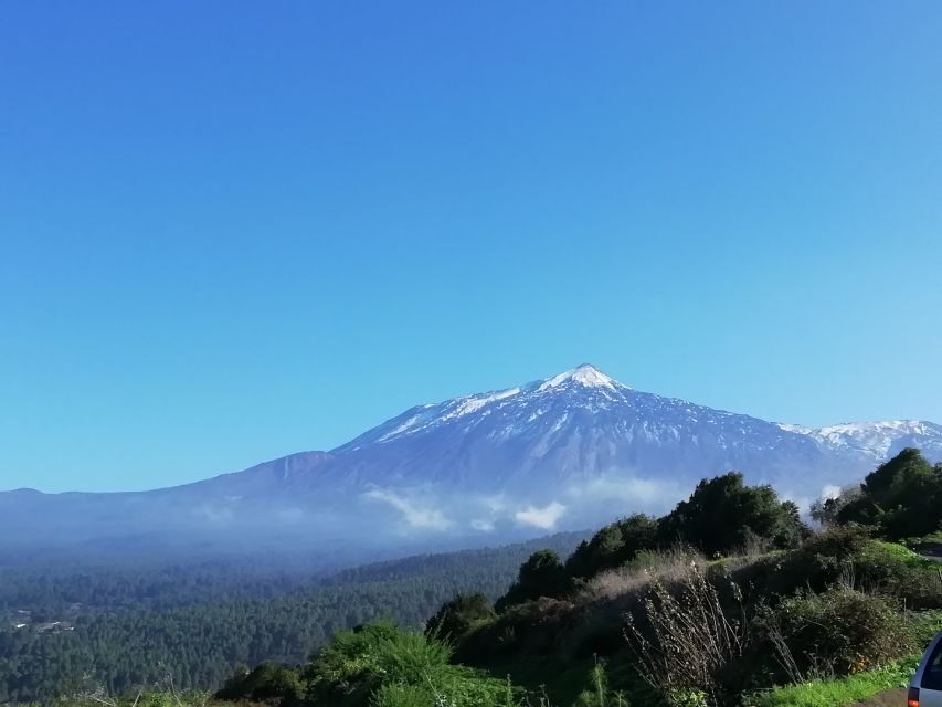 Tenerife: Guided Horseback Riding Tour to the Lomo Forest - Why the Lomo Forest tour fits beginners (and nervous riders)