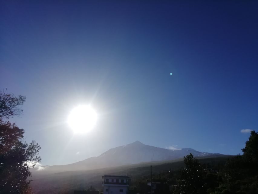 Tenerife: Guided Horseback Riding Tour to the Lomo Forest - Horses, safety, and the staff’s role (especially for first-timers)