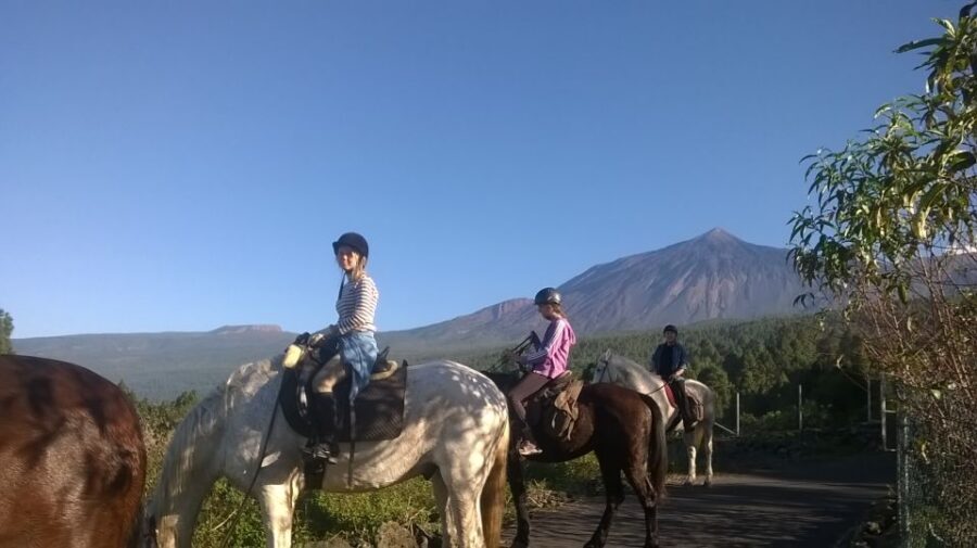 Tenerife: Guided Horseback Riding Tour to the Lomo Forest - What to wear in Tenerife for a horseback ride (details that matter)