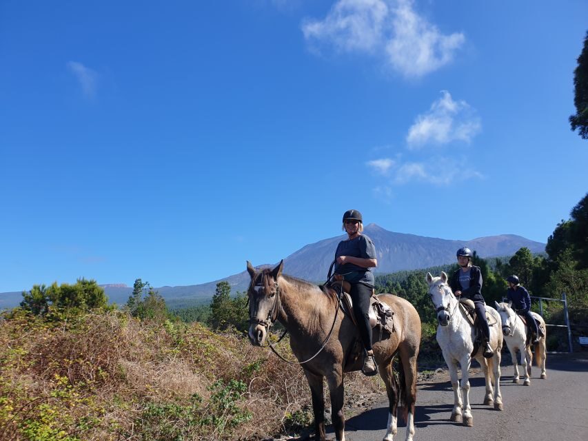 Tenerife: Guided Horseback Riding Tour to the Lomo Forest - Finca Estrella meeting: the main-road rule (and how GPS tries to trick you)