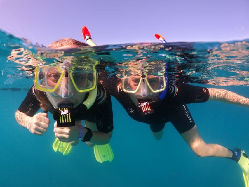 Tenerife: Half-Day Snorkeling Tour - Key highlights worth planning around