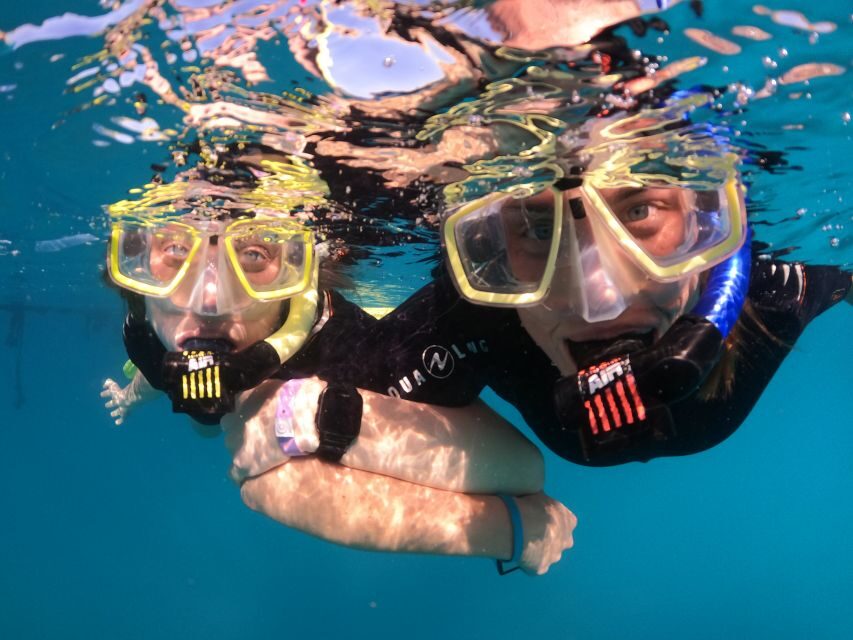 Tenerife: Half-Day Snorkeling Tour - What you’ll see: fish, reefs, and the common “wow” moments
