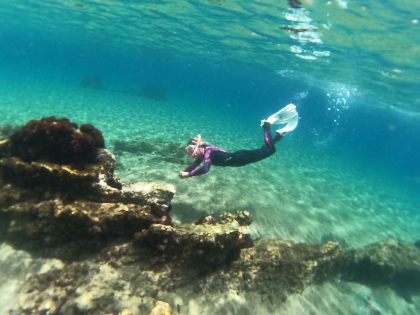Tenerife: Half-Day Snorkeling Tour - The 4-hour flow: safety briefing, guided hour, then more water time