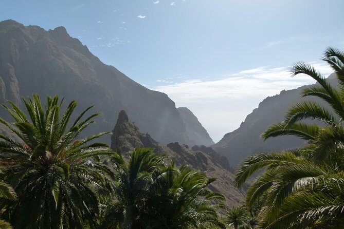 Tenerife Highlights Full-Day Tour - South Tenerife pickup and the coach ride that sets the tone