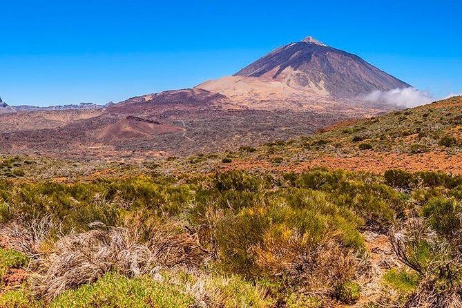 Tenerife Highlights Full-Day Tour - Vilaflor and the pine-forested foothills: cool air and old-town calm