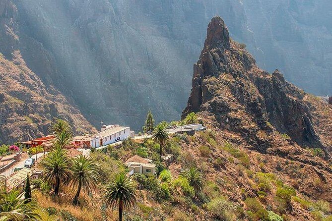 Tenerife Highlights Full-Day Tour - The volcanic plateau drive: lunar terrain and movie references
